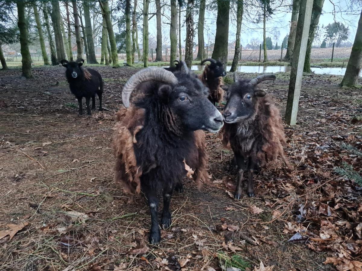 Parkhoeve Glamping Ham Extérieur photo